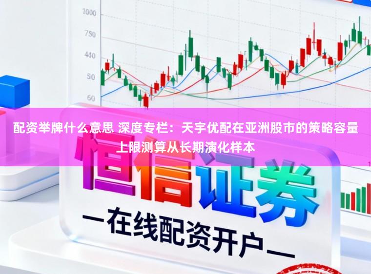 配资举牌什么意思 深度专栏：天宇优配在亚洲股市的策略容量上限测算从长期演化样本