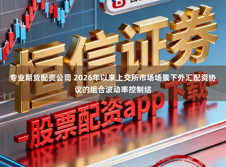 专业期货配资公司 2026年以来上交所市场场景下外汇配资协议的组合波动率控制结