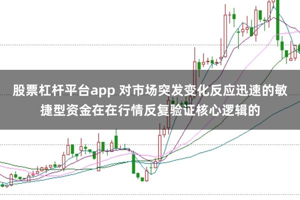 股票杠杆平台app 对市场突发变化反应迅速的敏捷型资金在在行情反复验证核心逻辑的